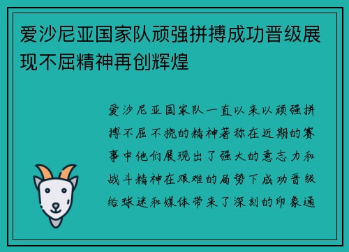 爱沙尼亚国家队顽强拼搏成功晋级展现不屈精神再创辉煌