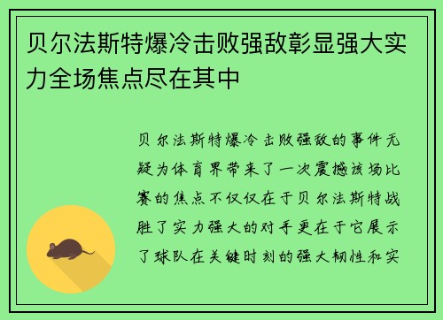 贝尔法斯特爆冷击败强敌彰显强大实力全场焦点尽在其中